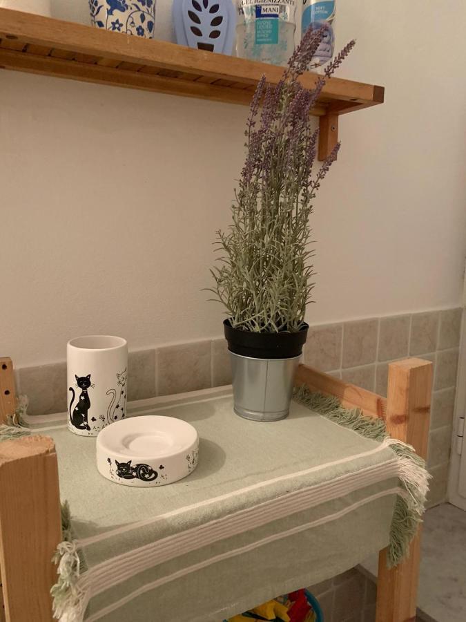 Appartement Le Parole Del Gatto